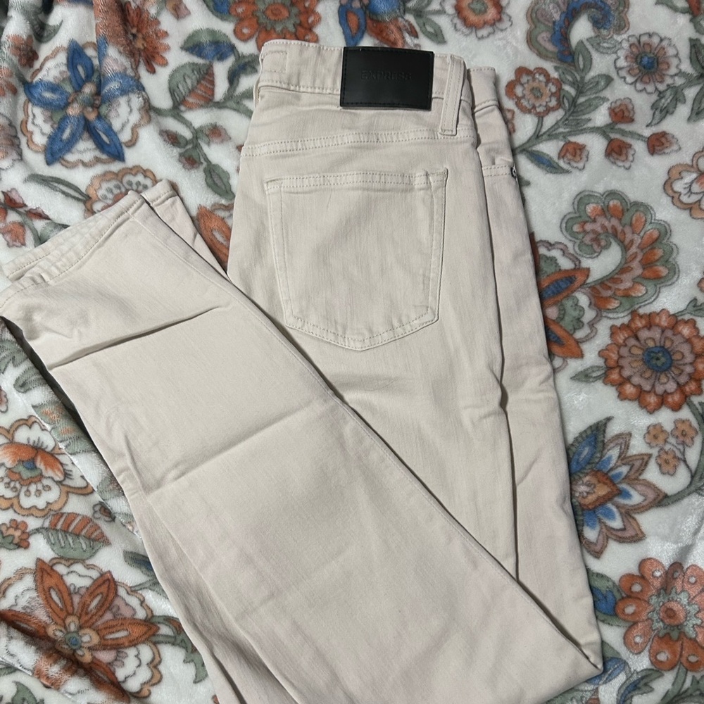 Express Men’s Slim Fit Pants 29x32
